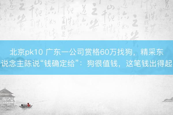 北京pk10 广东一公司赏格60万找狗，精采东说念主陈说“钱确定给”：狗很值钱，这笔钱出得起